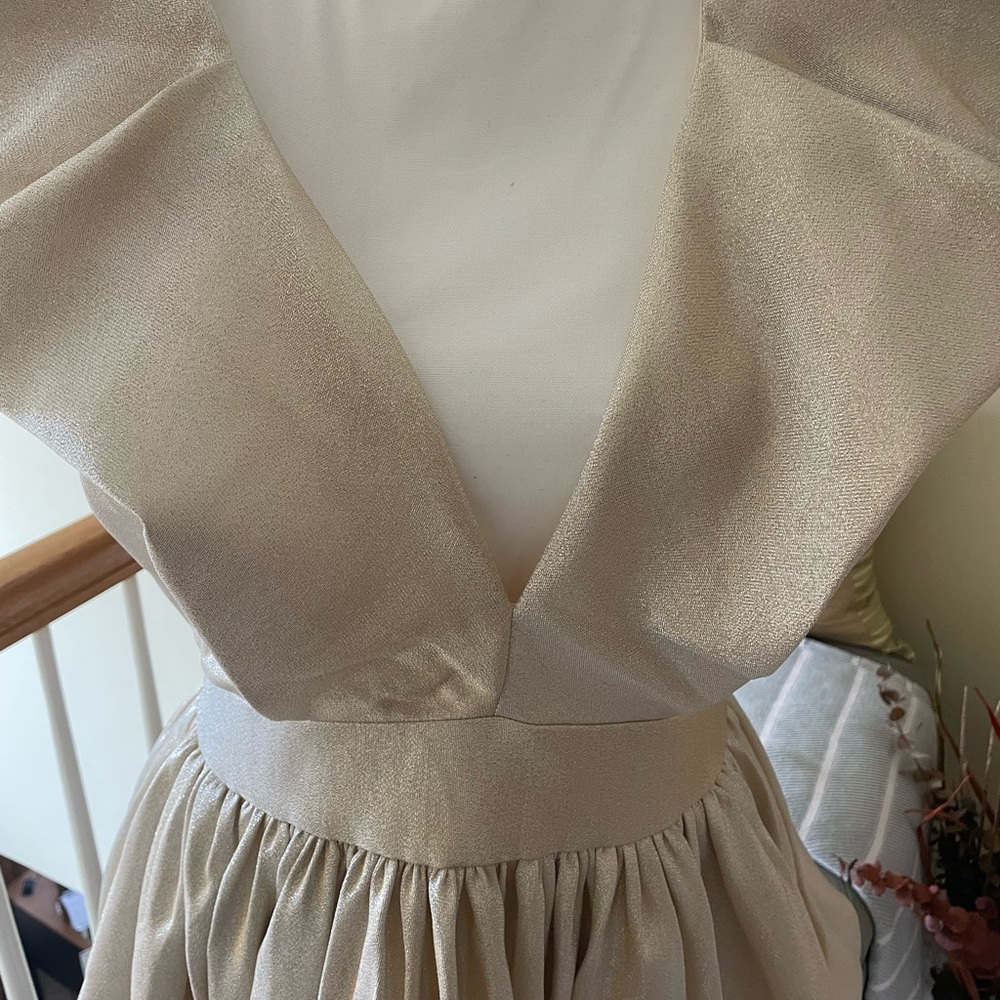 Luxxel Champagne Shimmer Bubble Dress NWT - Picture 8 of 15